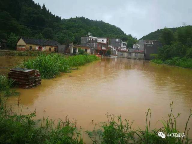 暴雨黄色预警|