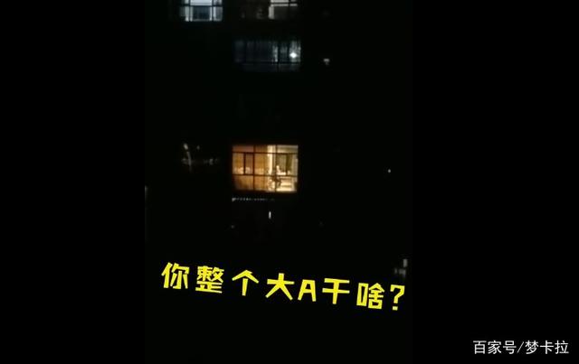 教育|