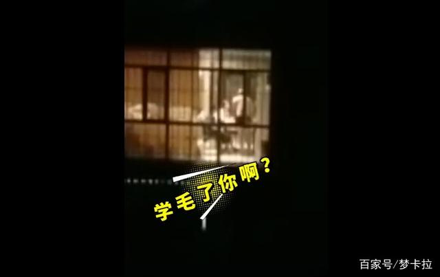 教育|