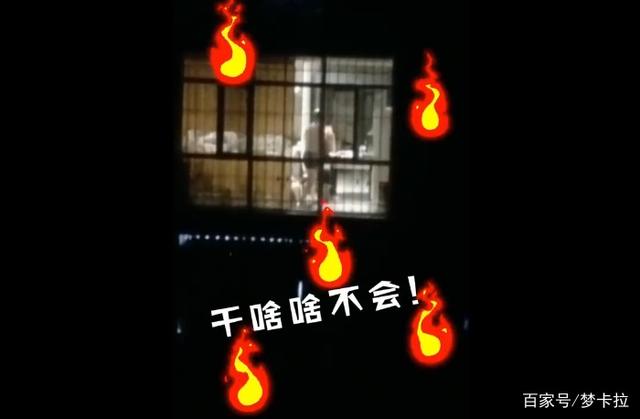 教育|