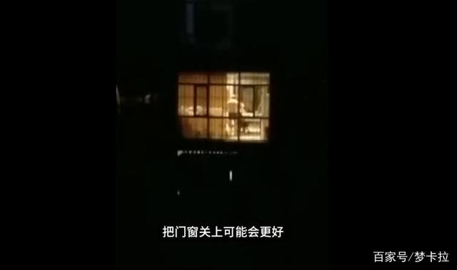 教育|