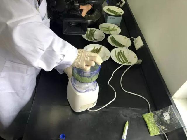 IMGbc305bcbf54a54349570437.jpg