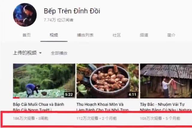李子柒|