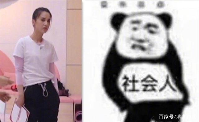 社会人|