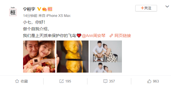 宁桓宇|