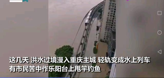 看海|