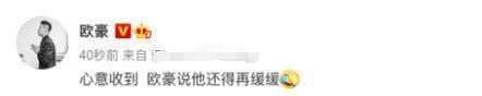 欧豪|