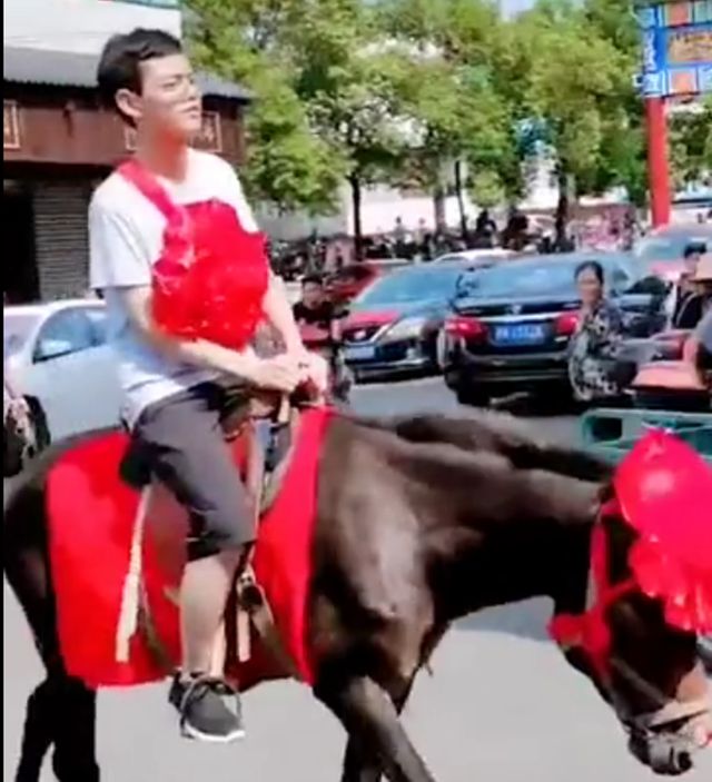北大|