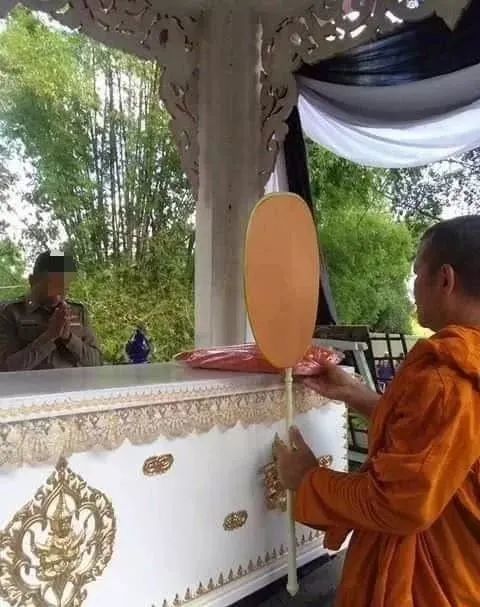 贵妃|
