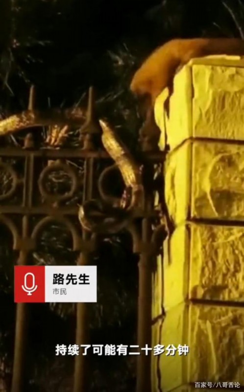 世纪大战|