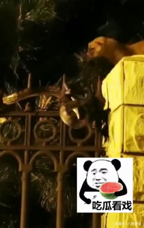 世纪大战|