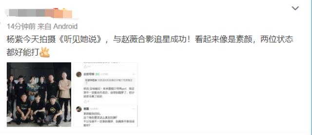 赵薇|