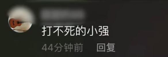 蟑螂|
