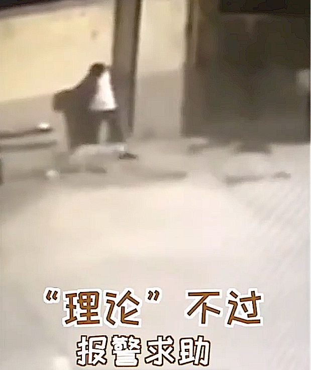 理论|