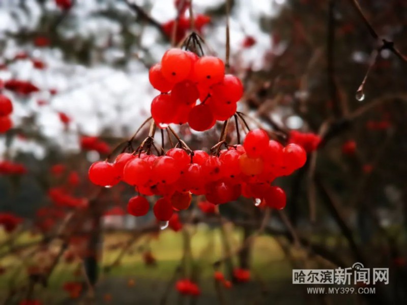 初始温度|