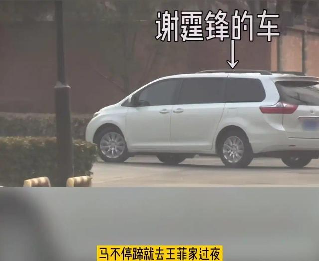 王菲怀孕|谢霆锋被拍到去王菲家过夜 此前频爆分手消息 感情一度成谜