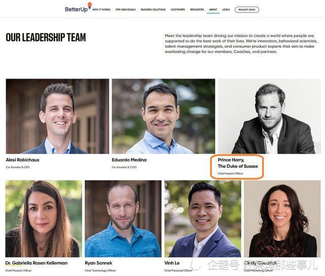 华尔街日报|哈里王子找到新工作了 国外网友质疑公司聘请为自我宣传