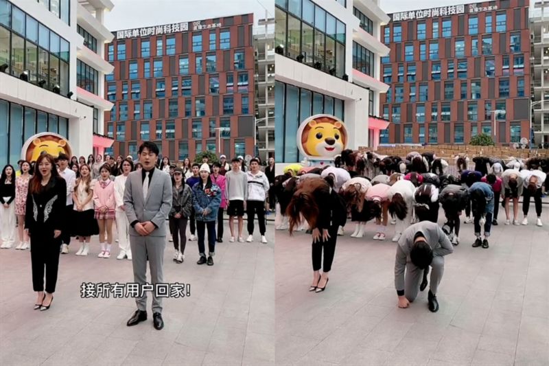 徒弟|辛巴宣布复出 喊话"家人们"回家 网友:有一次就有两次