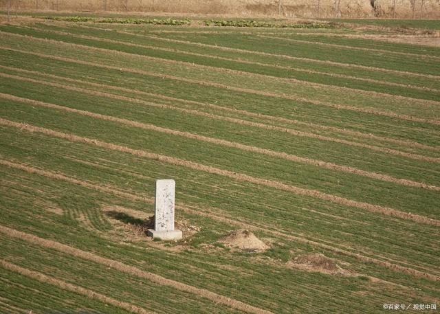 吴某|求复合被拒 男子挖女方父母坟墓 网友：这也太缺德了