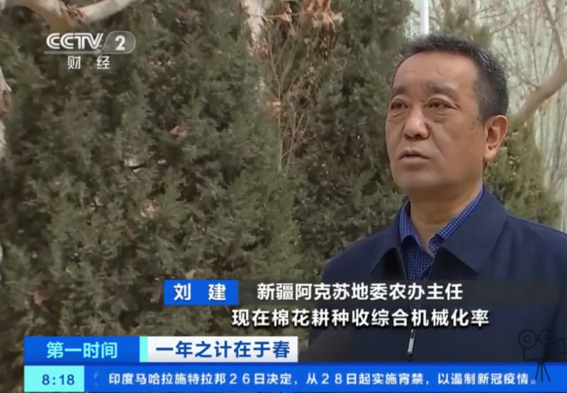 棉花种植|新疆阿克苏710万亩棉花开播 机械化采收面积可达530万亩以上