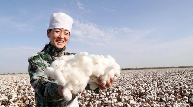 采棉|赵立坚问美方我们是强迫机器劳动吗 抹黑背后是极大的经济利益