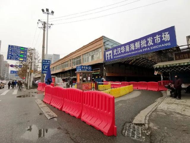 鼬科|华南海鲜市场动物制品未发现阳性 中方专家组提病毒溯源四项建议