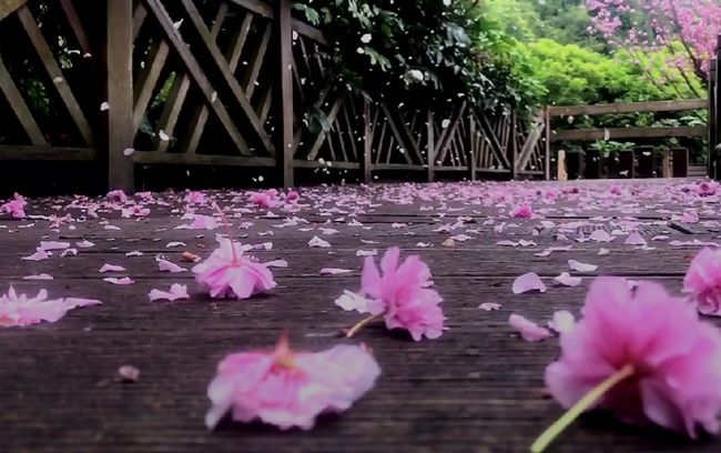 女权思想|杭州三胎妈妈回应哺乳期被开 网友却说“无规矩不成方圆”