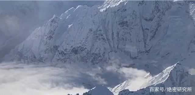 发声明|好利来辟谣卷入西藏冒险王事件 网友：不要影响我订蛋糕