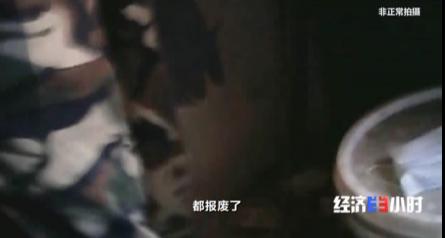 厕所革命|央视曝农村改造厕所轻轻一踩就碎了 农户无奈又挖起了粪坑