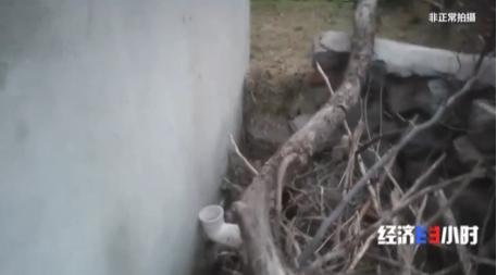 厕所革命|央视曝农村改造厕所轻轻一踩就碎了 农户无奈又挖起了粪坑