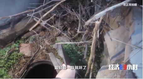 厕所革命|央视曝农村改造厕所轻轻一踩就碎了 农户无奈又挖起了粪坑