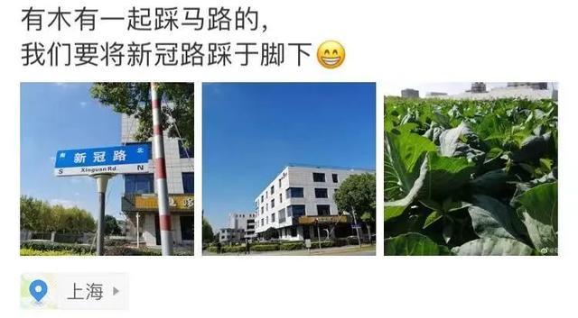 重组蛋白|上海新冠路火出圈 网友：走新冠路，让新冠无路可走
