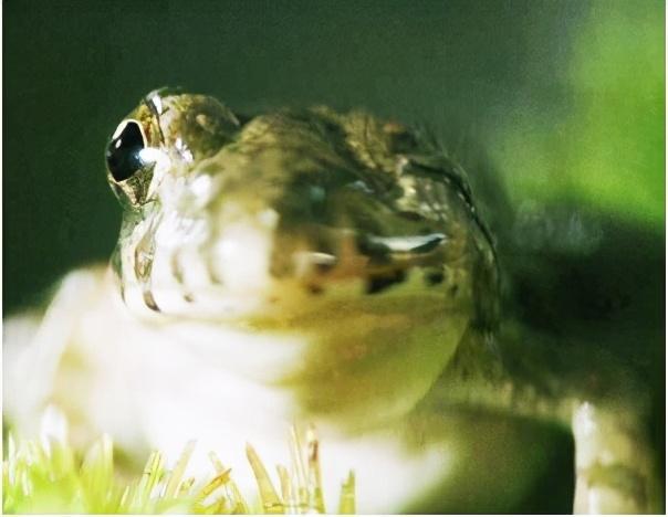 日本政府|日本要求2年后能向海洋排核废水 潘多拉的魔盒已经打开