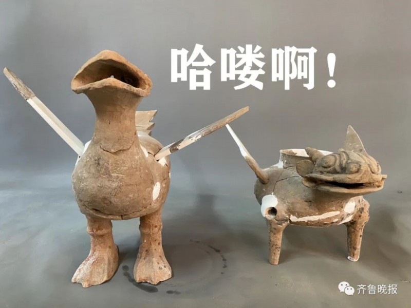 陶兽|菏泽考古现场发现千年东周“萌”兽，网友脑洞大开：飞天小霸王！