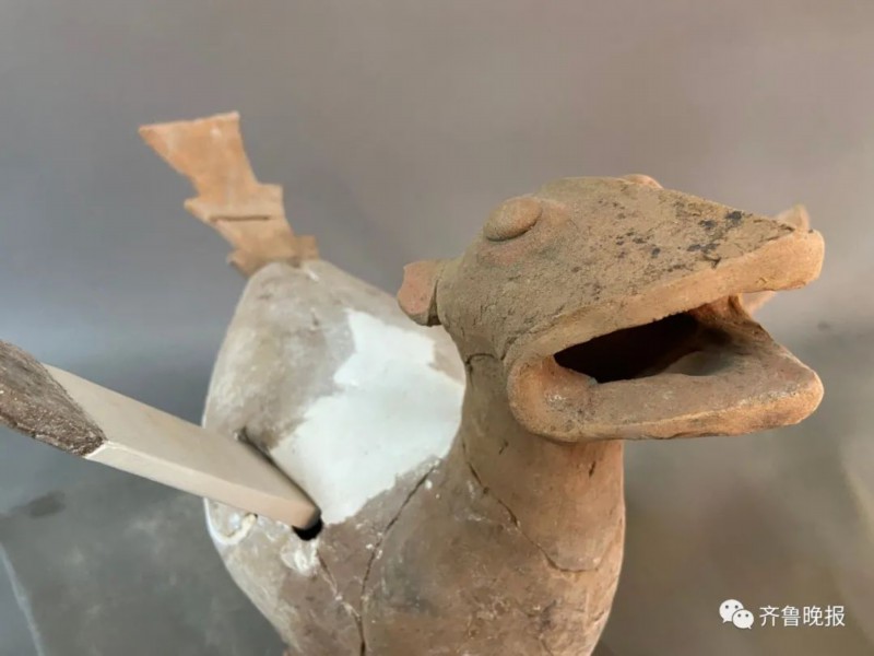 陶兽|菏泽考古现场发现千年东周“萌”兽，网友脑洞大开：飞天小霸王！