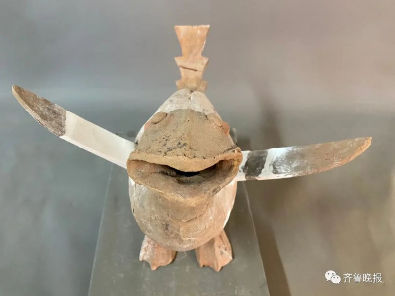 陶兽|菏泽考古现场发现千年东周“萌”兽，网友脑洞大开：飞天小霸王！