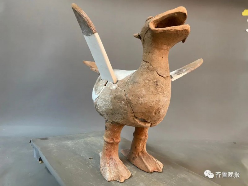 陶兽|菏泽考古现场发现千年东周“萌”兽，网友脑洞大开：飞天小霸王！