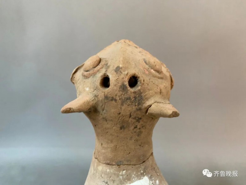 陶兽|菏泽考古现场发现千年东周“萌”兽，网友脑洞大开：飞天小霸王！