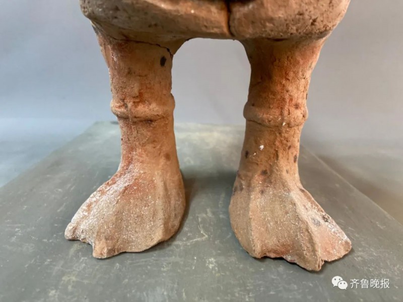 陶兽|菏泽考古现场发现千年东周“萌”兽，网友脑洞大开：飞天小霸王！