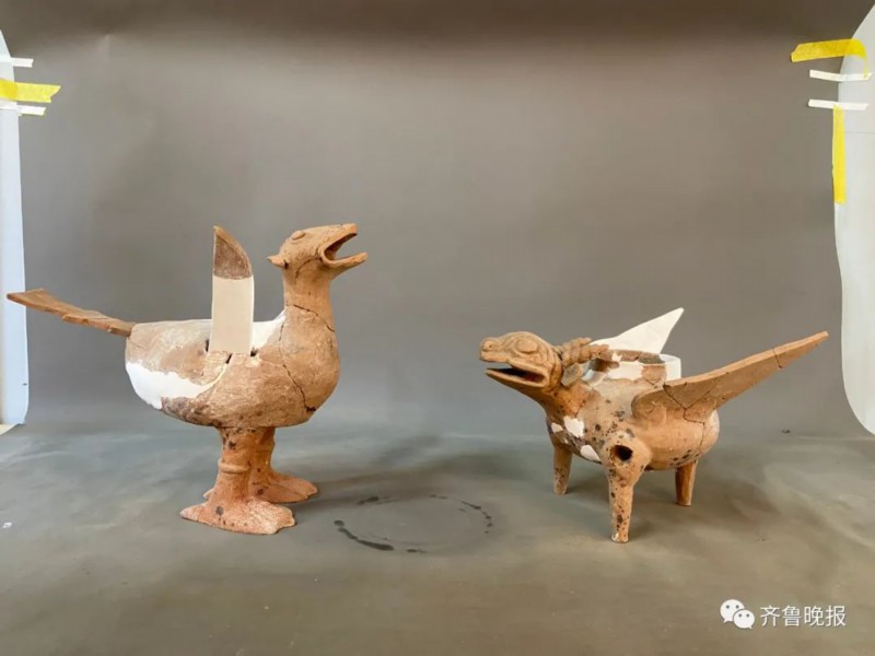 陶兽|菏泽考古现场发现千年东周“萌”兽，网友脑洞大开：飞天小霸王！