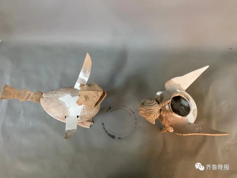 陶兽|菏泽考古现场发现千年东周“萌”兽，网友脑洞大开：飞天小霸王！