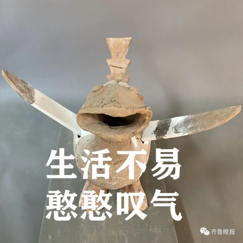 陶兽|菏泽考古现场发现千年东周“萌”兽，网友脑洞大开：飞天小霸王！