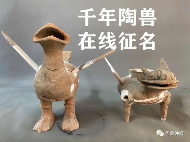 陶兽|菏泽考古现场发现千年东周“萌”兽，网友脑洞大开：飞天小霸王！