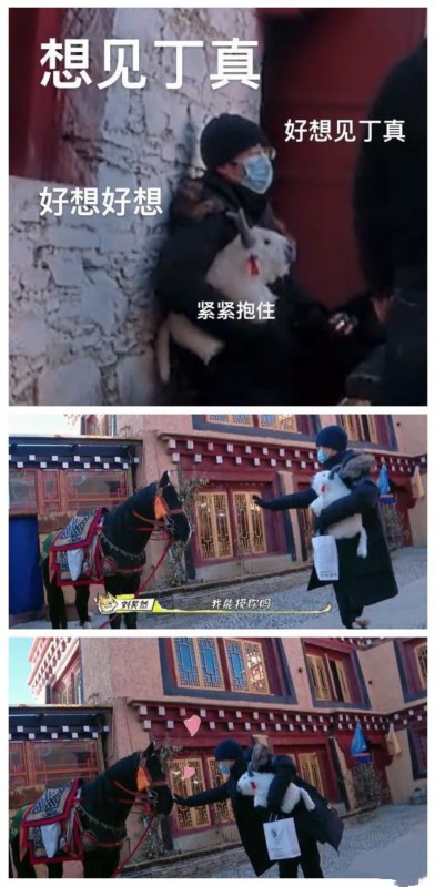 刘昊然|丁真骑了刘昊然在理塘摸过的马 粉丝：奇妙的缘分