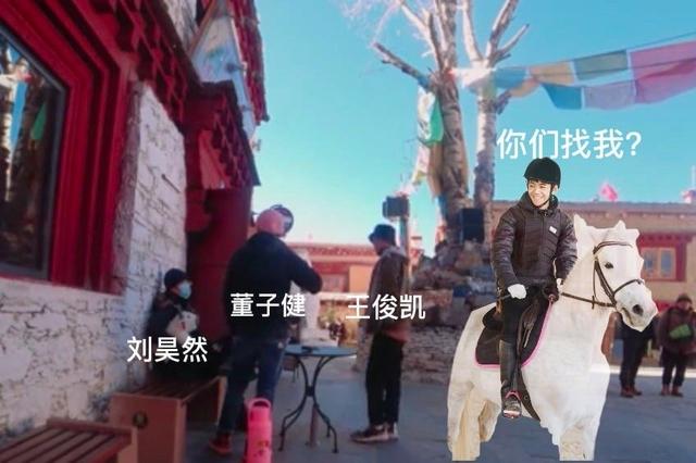 刘昊然|丁真骑了刘昊然在理塘摸过的马 粉丝：奇妙的缘分