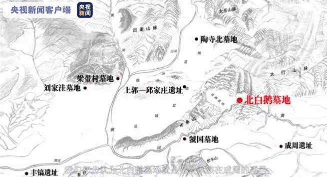 白鹅|山西墓地出土5件猫爪形金饰 古代版“一起喵喵喵”