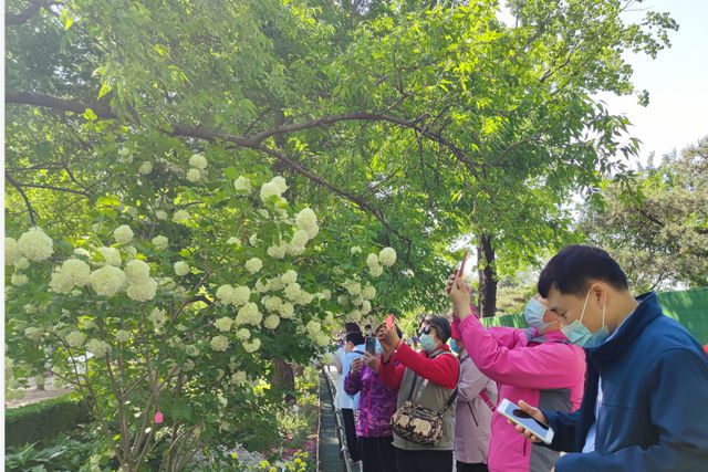 游客可|人挤人!五一首日故宫游客爆满 5天门票早已售罄