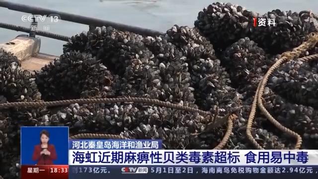 海虹|两种小海鲜近期千万别吃 否则会有食物中毒的危险