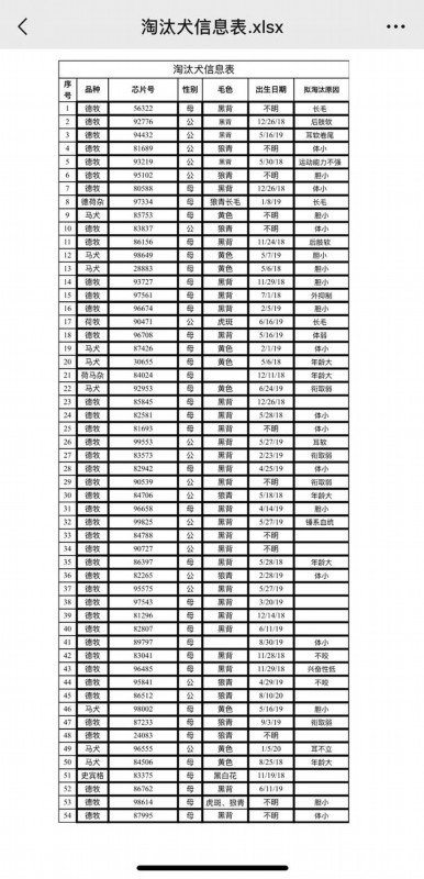 刑警|中国刑警学院竞售54只淘汰受训犬 起价均为200元