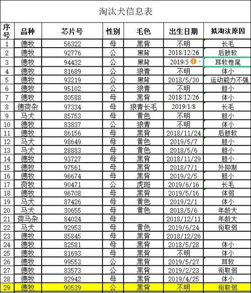 警校|警校售淘汰犬最高拍出33万 网友:狗子没考上,但是包分配